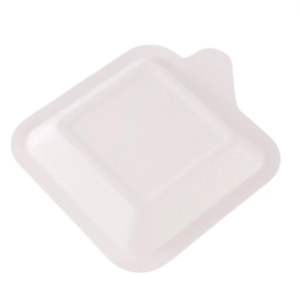 Bagasse Cake Tray